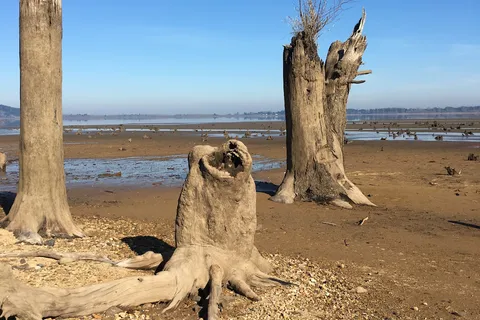 Fern Ridge Shores RV Park and Marina