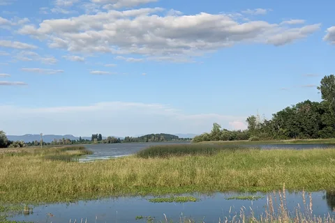 Fern Ridge Shores RV Park and Marina