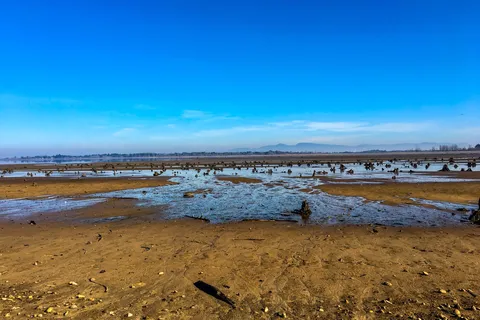 Fern Ridge Shores RV Park and Marina