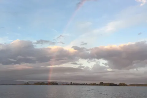 Fern Ridge Shores RV Park and Marina