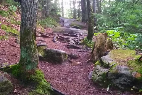 New Discovery State Park