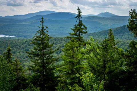 New Discovery State Park
