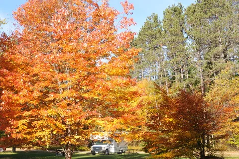New Discovery State Park