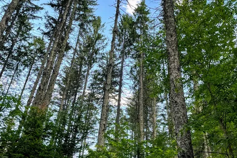 New Discovery State Park