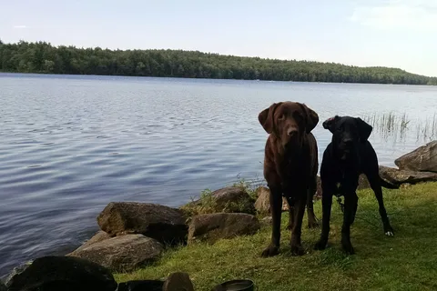 Ayers Lake Family Campground And Cottages