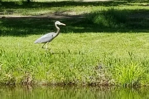 Fairview Park Camping & Marina