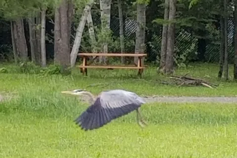 Fairview Park Camping & Marina