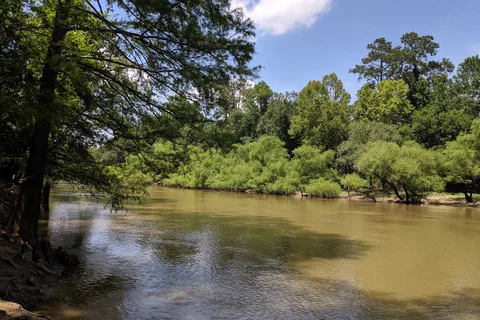 Cliffs Of The Neuse State Park