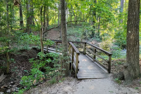 Cliffs Of The Neuse State Park