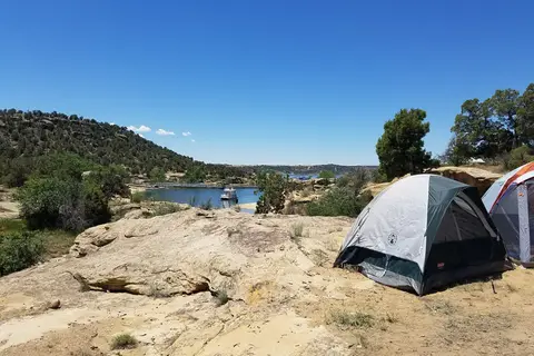 Sims Mesa - Navajo Lake State Park