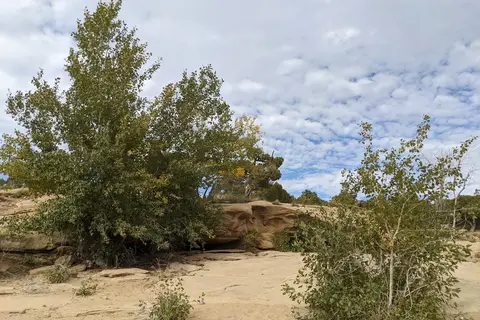 Sims Mesa - Navajo Lake State Park