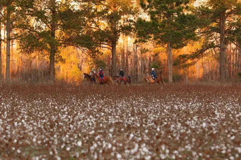 Broxton Bridge Campgrounds