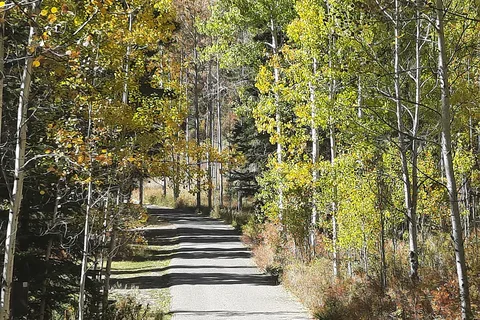 Terrerro - Pecos Canyon State Park