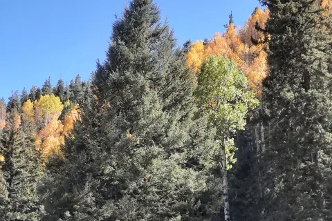 Terrerro - Pecos Canyon State Park