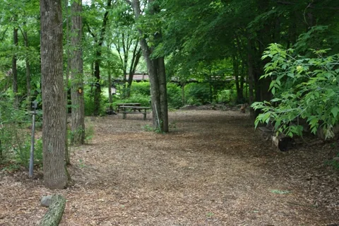 Phoenicia Black Bear Campground and RV Park