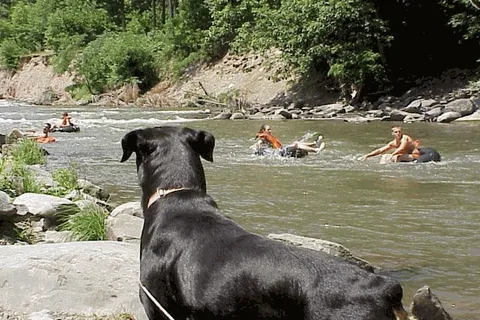 Phoenicia Black Bear Campground and RV Park