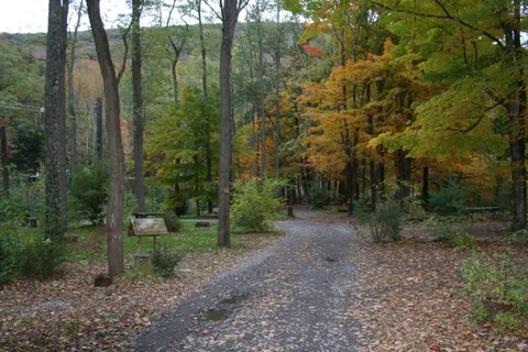 Phoenicia Black Bear Campground and RV Park