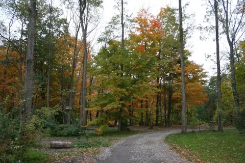 Phoenicia Black Bear Campground and RV Park
