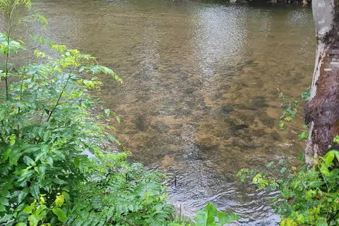 Cullasaja River RV Park