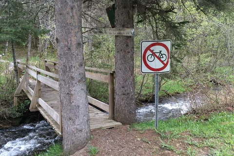 Camping Causapscal chez Moose