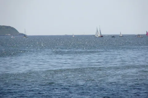 Sagadahoc Bay Campground