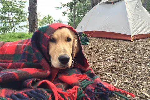 Sagadahoc Bay Campground