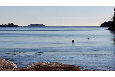 Sagadahoc Bay Campground