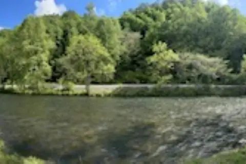 The Hala