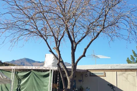 Punkin Center RV and Mobile Home Park