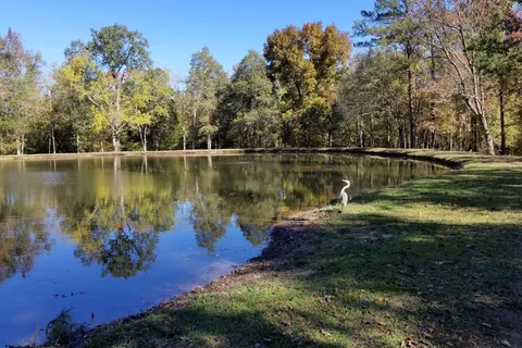 Woodsmoke Campground