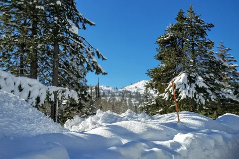 Cisco Grove Campground and RV