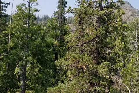 Cisco Grove Campground and RV