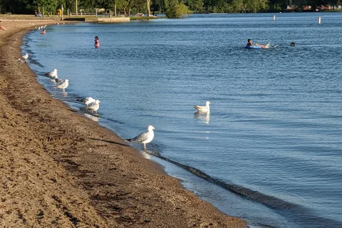 Family - Pontiac Lake Recreational Area