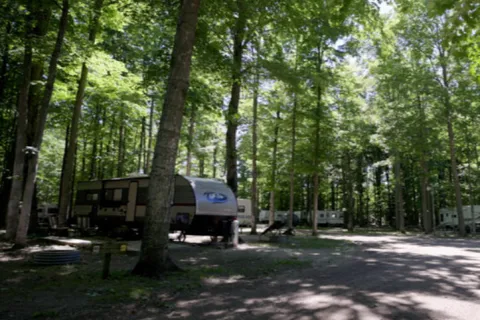Timberline Campground