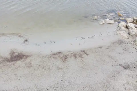Bird Island Basin Campground - Padre Island National Seashore