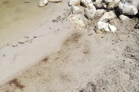 Bird Island Basin Campground - Padre Island National Seashore