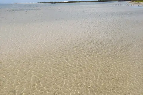 Bird Island Basin Campground - Padre Island National Seashore