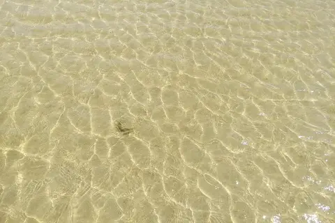 Bird Island Basin Campground - Padre Island National Seashore