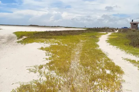 Bird Island Basin Campground - Padre Island National Seashore
