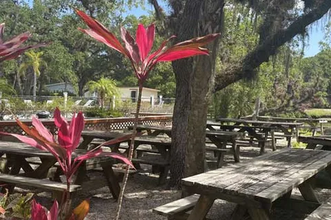 Camp Venice Retreat