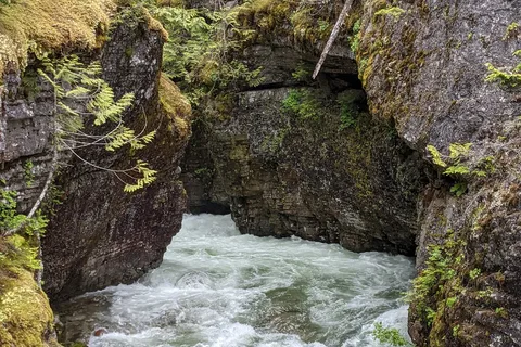 Blanket Creek Provincial Park