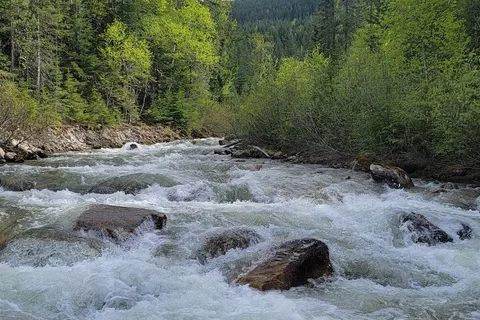 Blanket Creek Provincial Park