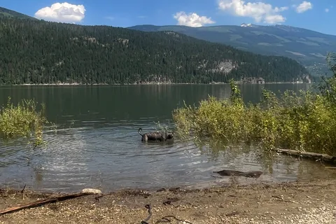 Blanket Creek Provincial Park