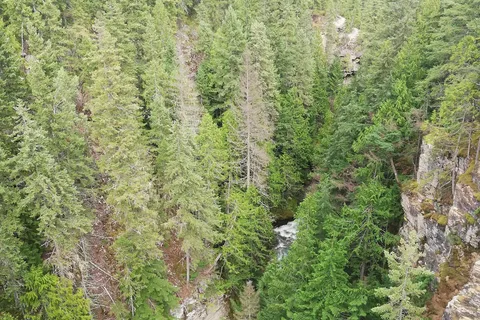Blanket Creek Provincial Park
