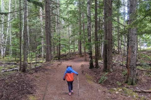 Blanket Creek Provincial Park
