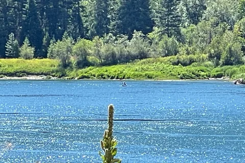 Thompson Falls State Park