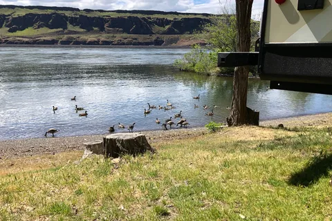 Peach Beach RV Park