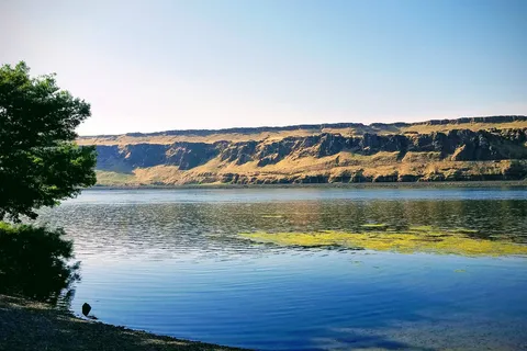 Peach Beach RV Park