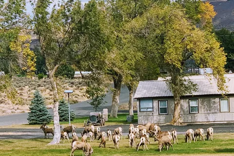 Vantage Riverstone Resort