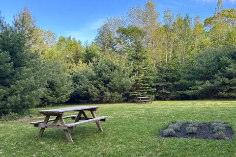 Sustainable Hill Wellness Resort